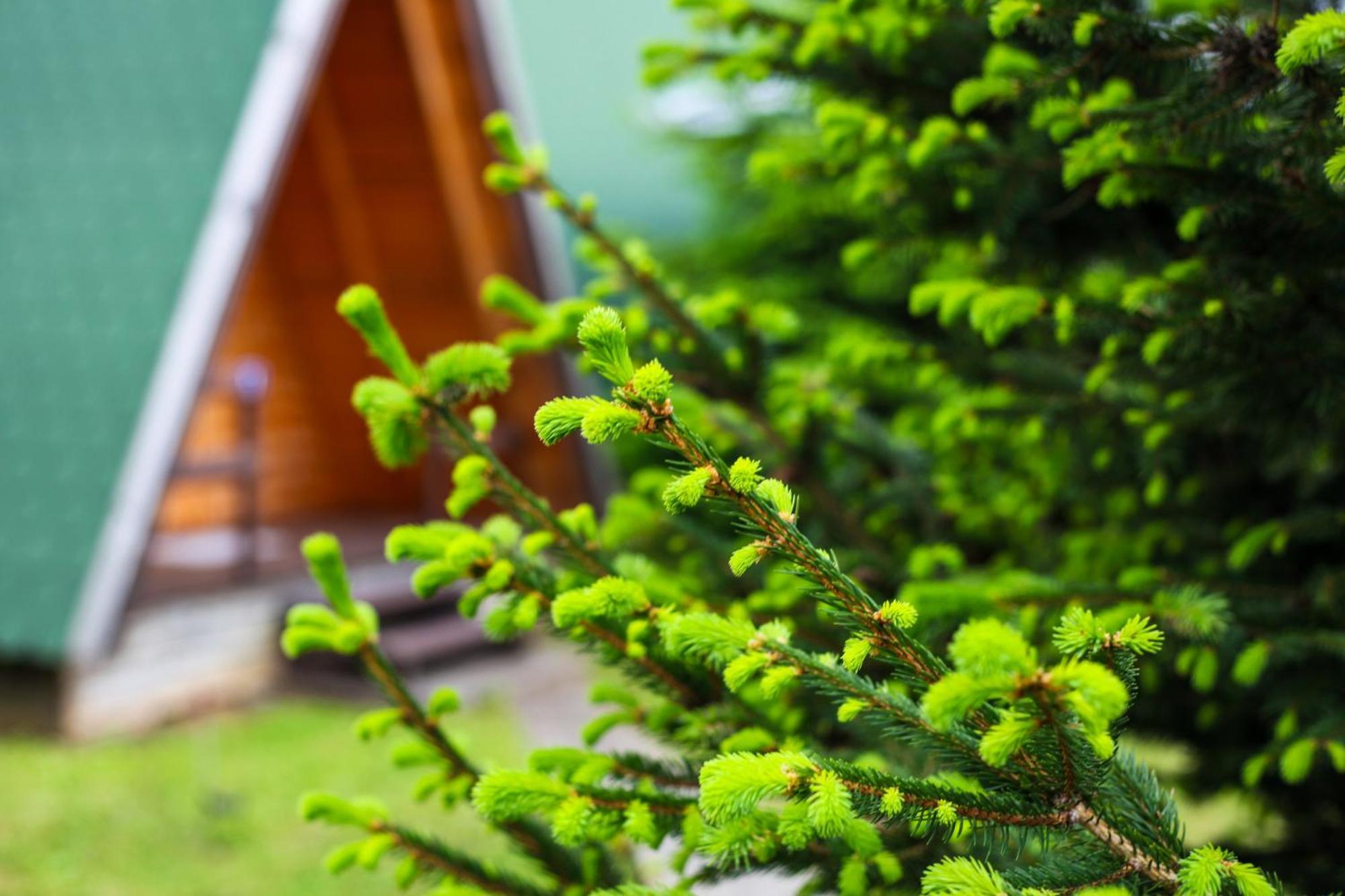 Rooms & Glamping Lana Haus Licko Petrovo Selo Екстер'єр фото
