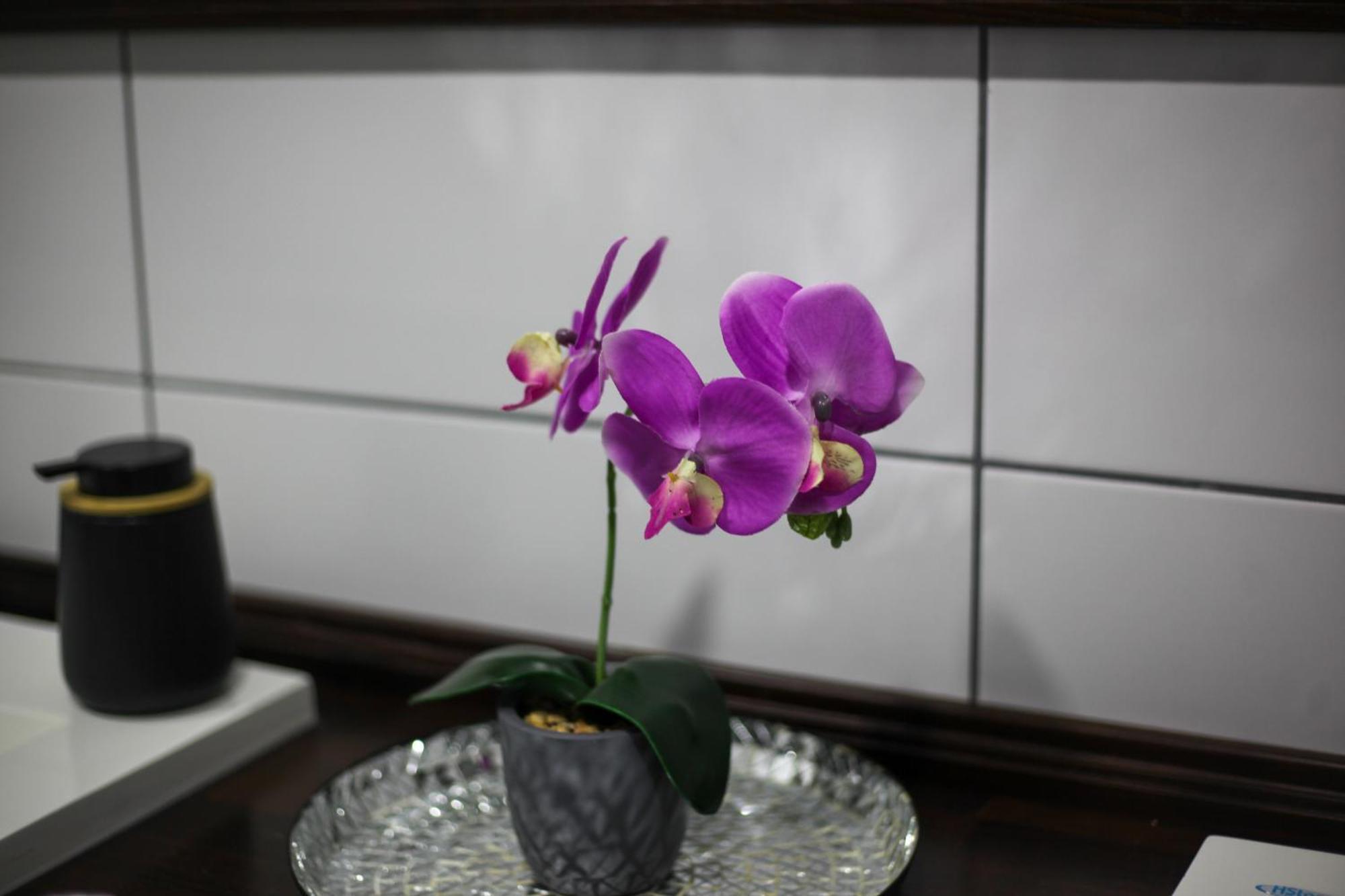 Rooms & Glamping Lana Haus Licko Petrovo Selo Екстер'єр фото